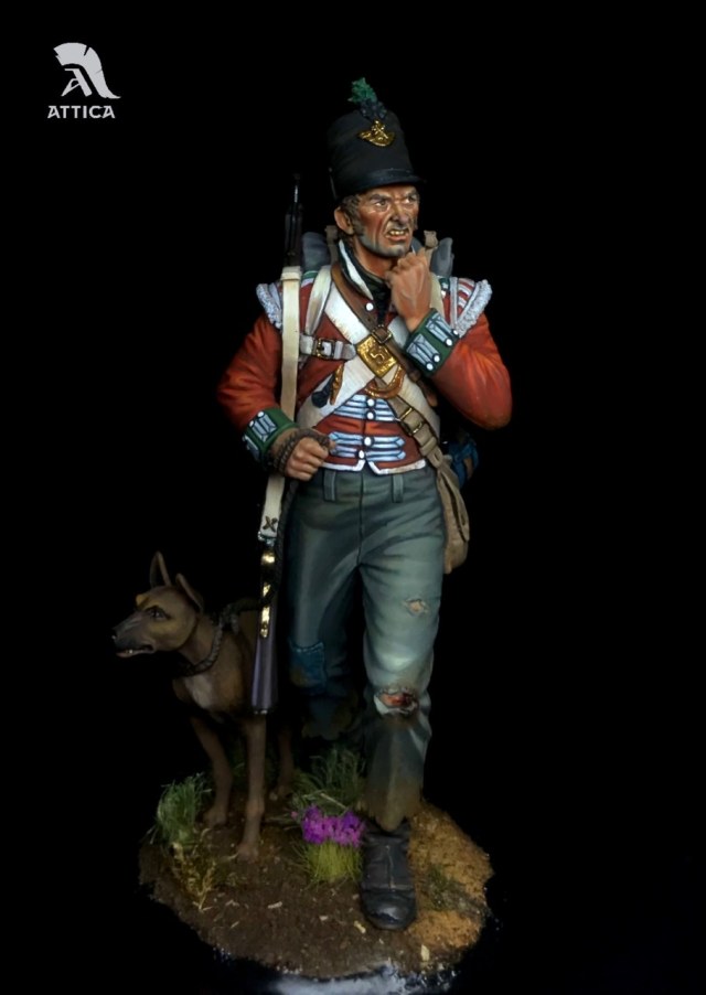 Собачья жизнь