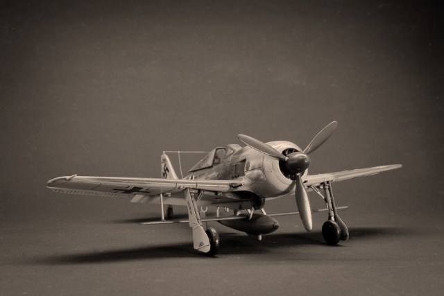 Focke Wulf Fw 190F-8 & Bv 246 'Hagelkorn'