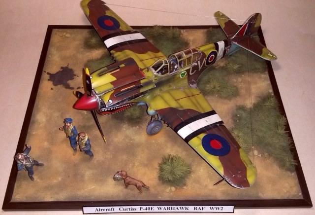 Самолёт Р-40Е