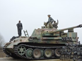 "Berliner nachtkatze".