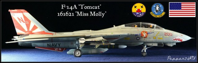 F-14A Tomcat