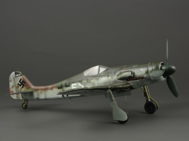 Fw-190D11