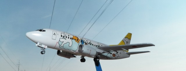 Boeing 737-500 Bear DO dream