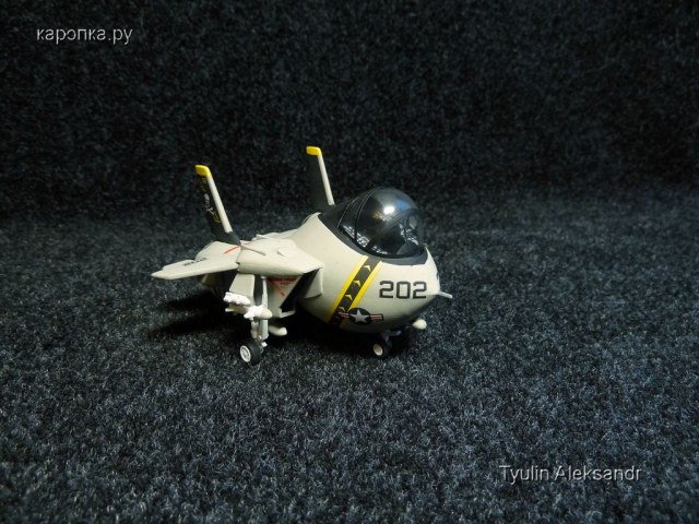 F-14 TOMCAT (eggplane)