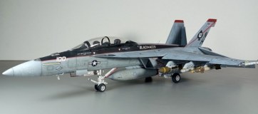 F\A-18 F ''Super Hornet'' ( VFA-41) Ранний