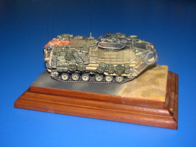 AAVP7A1 RAM with EAAK