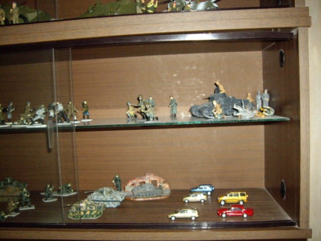 Полочки. Первый зал Палеонто- технического музея имени памяти братьев Колупашкиных.