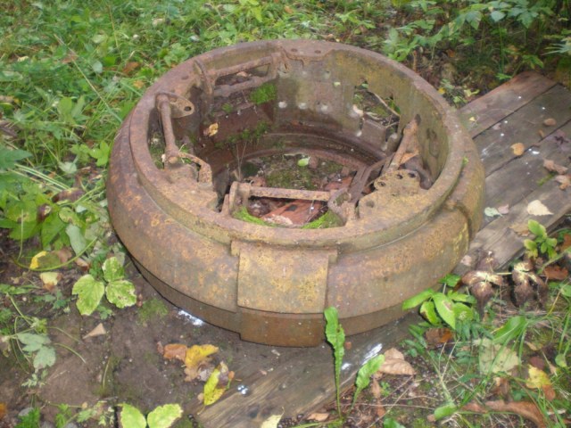 Что я нашёл в подмосковном лесу... (кроме грибов)