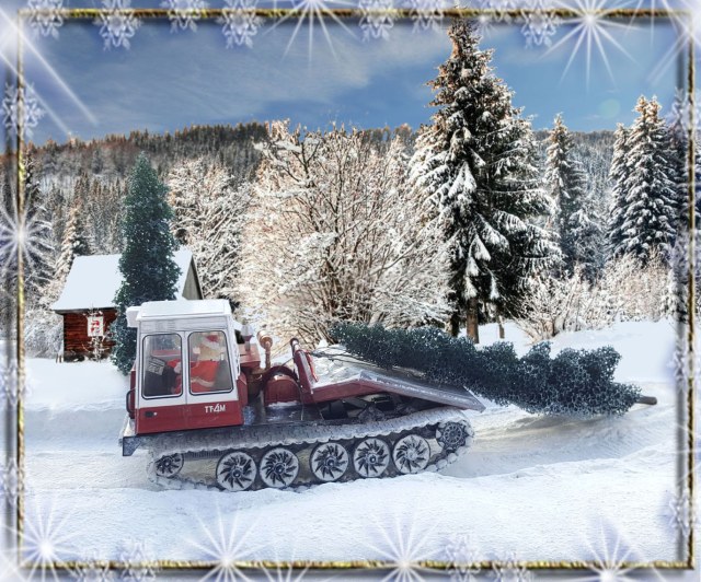 Зимняя сказка