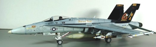 F\A-18C '' Hornet''  VFA-113