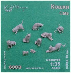 Кошки | Cats.