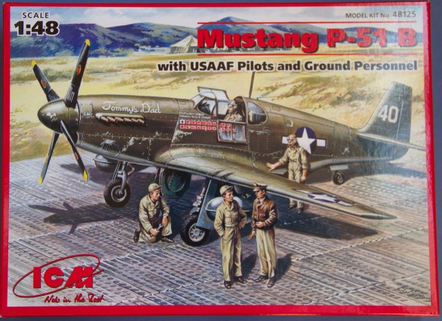Mustang P-51B with USAAF Pilots and Ground Personnel