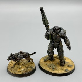 X-01 Survivor & Dogmeat