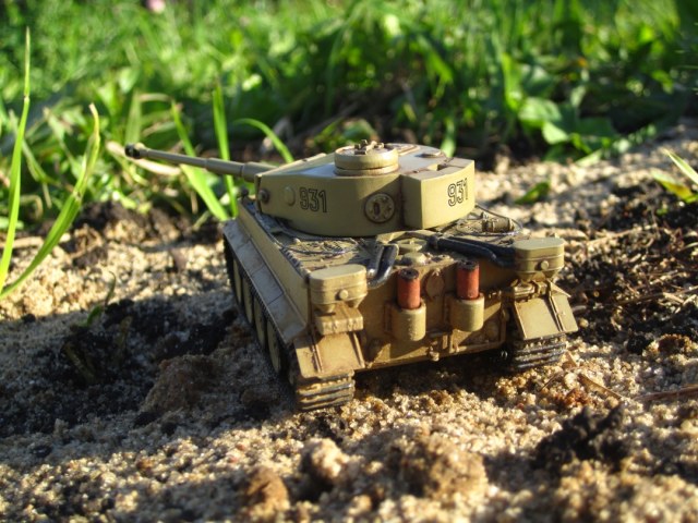 Тигр в песочнице