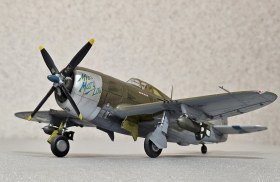 P-47D22
