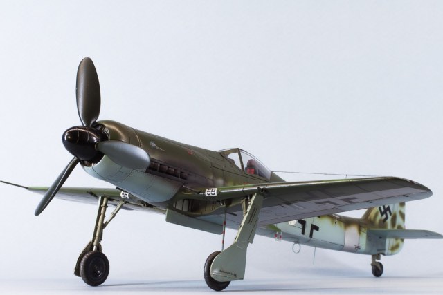 Fw 190D-11