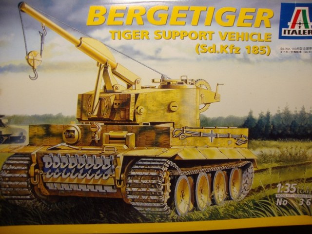 BERGETIGER