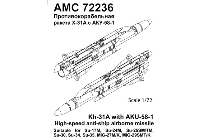 Х-31А с АКУ58-1                   1/72