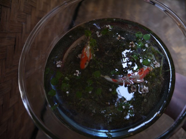 Рыбки в банке