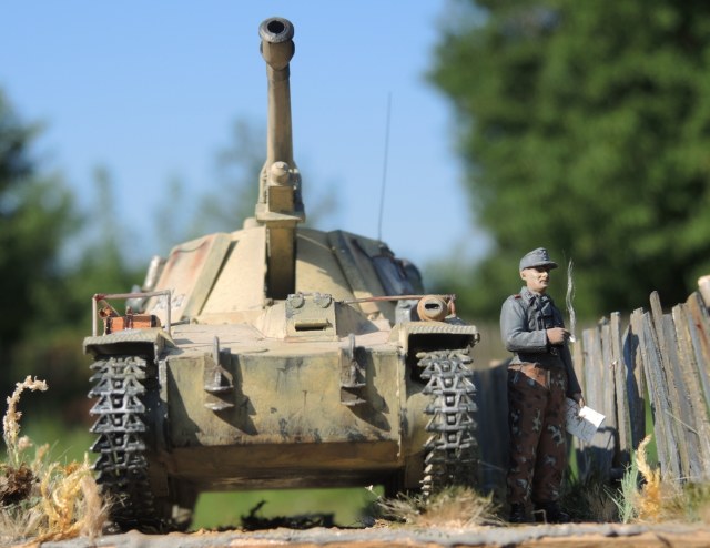 Оса на "перекуре"