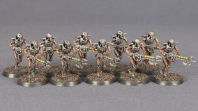 Воины Necron, Warhammer 40k