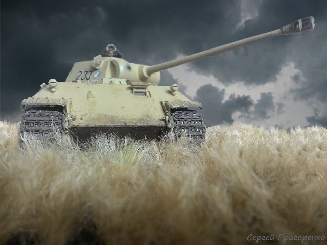 Операция "Цитадель"