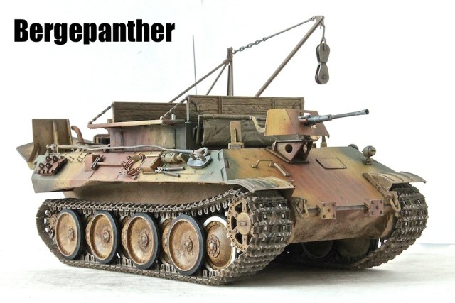 BERGEPANTHER