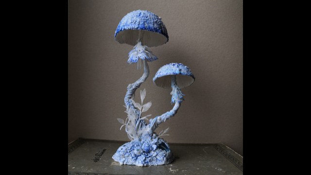 Волшебные грибы