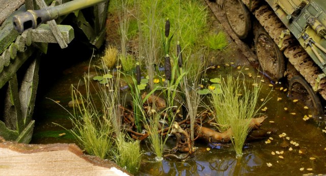 драная кошка