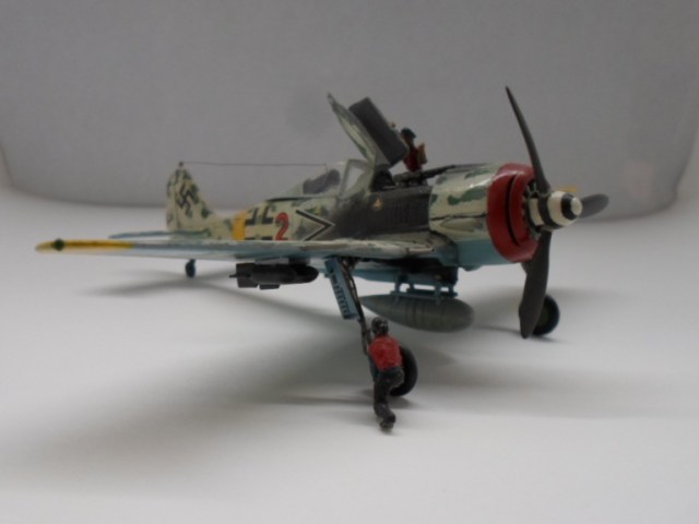 Focke Wulf 190A8 / F8