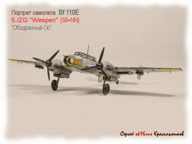 Bf 110E  из состава 5./ZG "Wespen" - "Ободранный Ос"