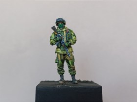 Российский солдат (2014)