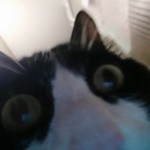 Алексей Костин