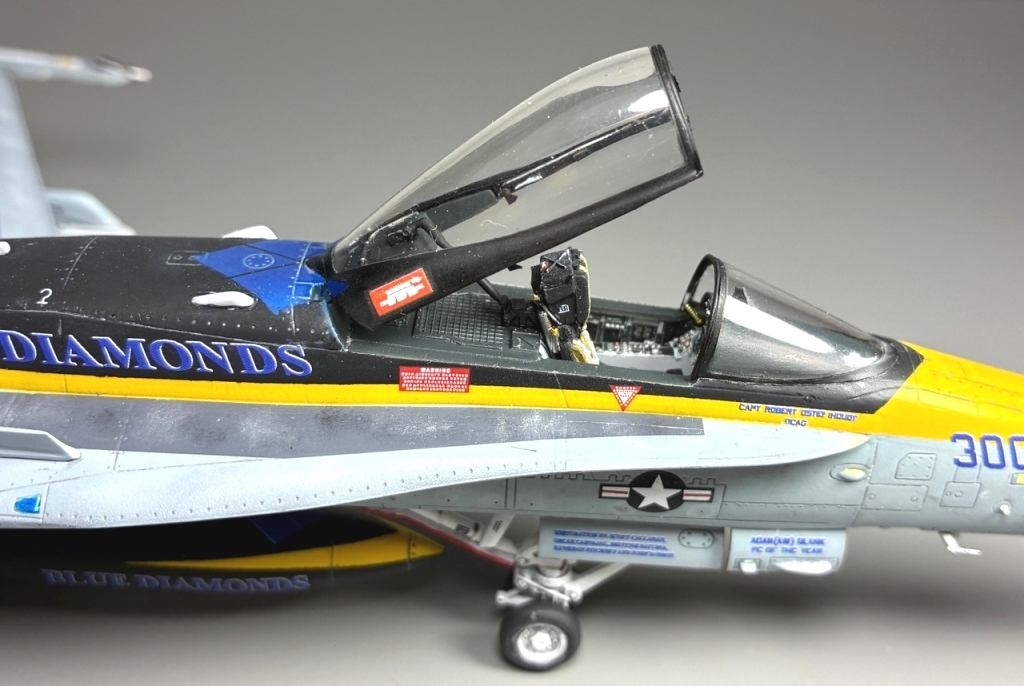 F\A-18 C  '' Hornet ''  (VFA-146)