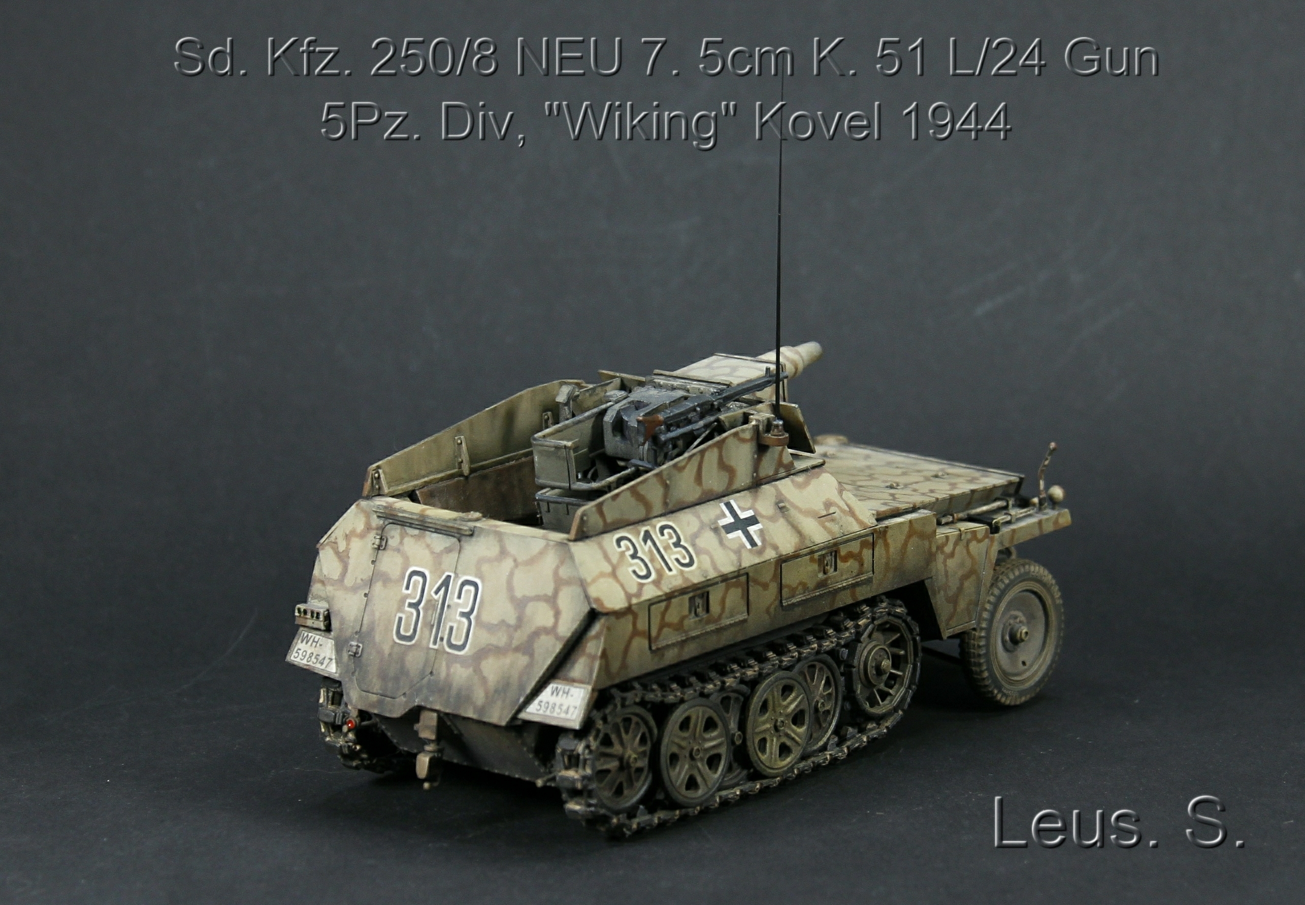 Sd.Kfz.250/8 NEU 7.5cm K.51 L/24 Gun 5Pz.Div,"Wiking" Kovel 1944