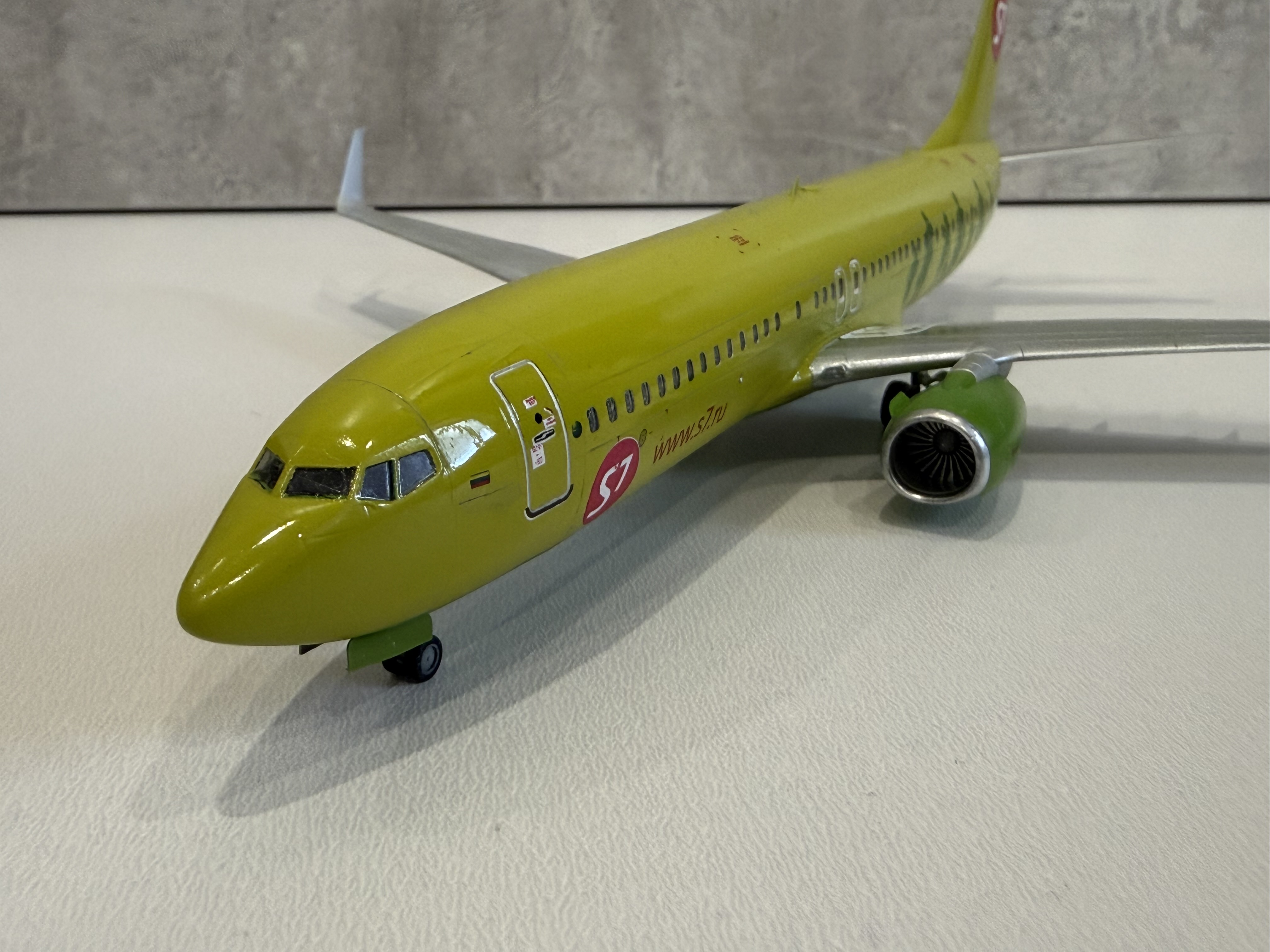 Боинг 737-800 S7
