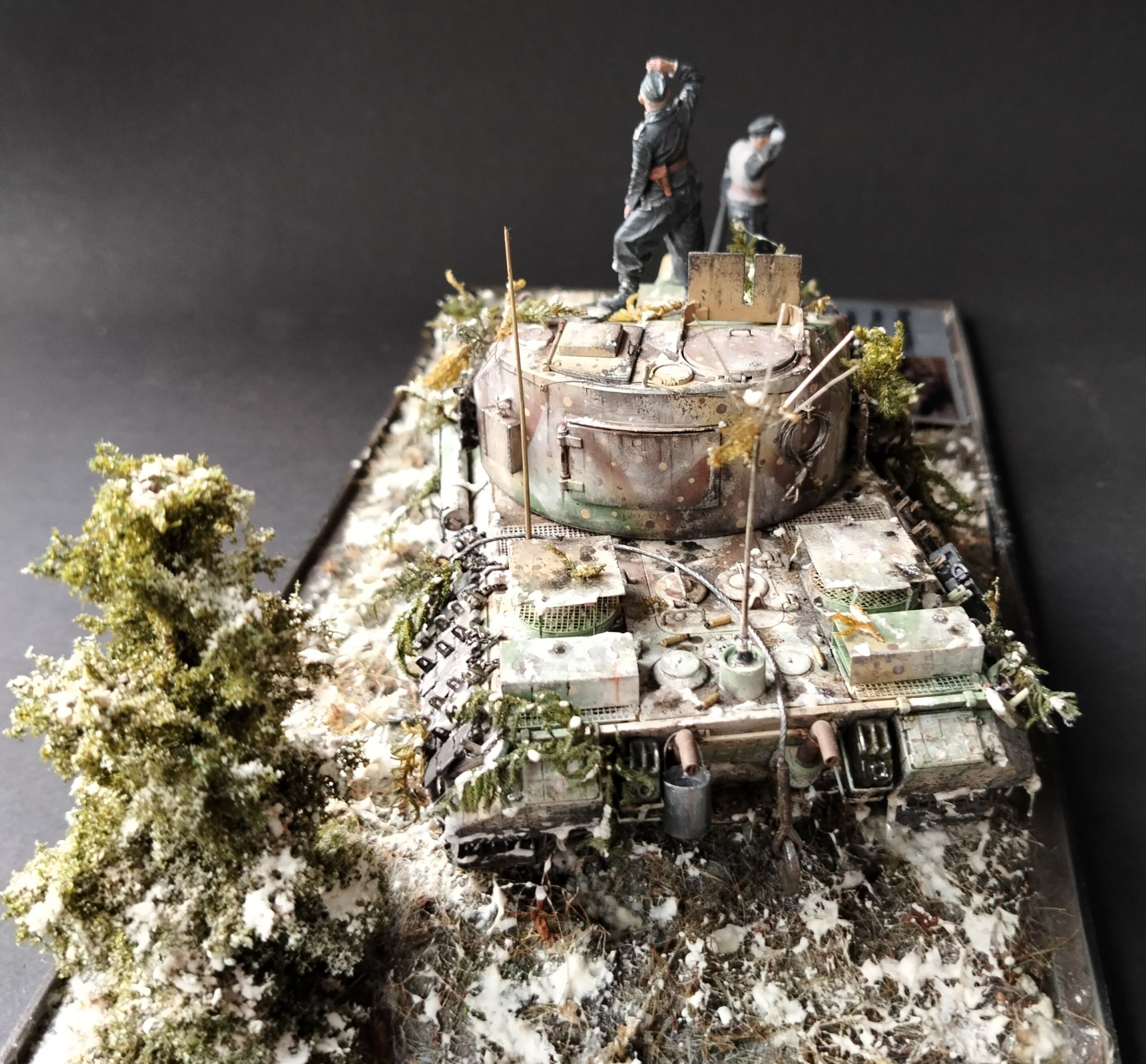 FLAKPANZER PANTHER  "COELIAN"
