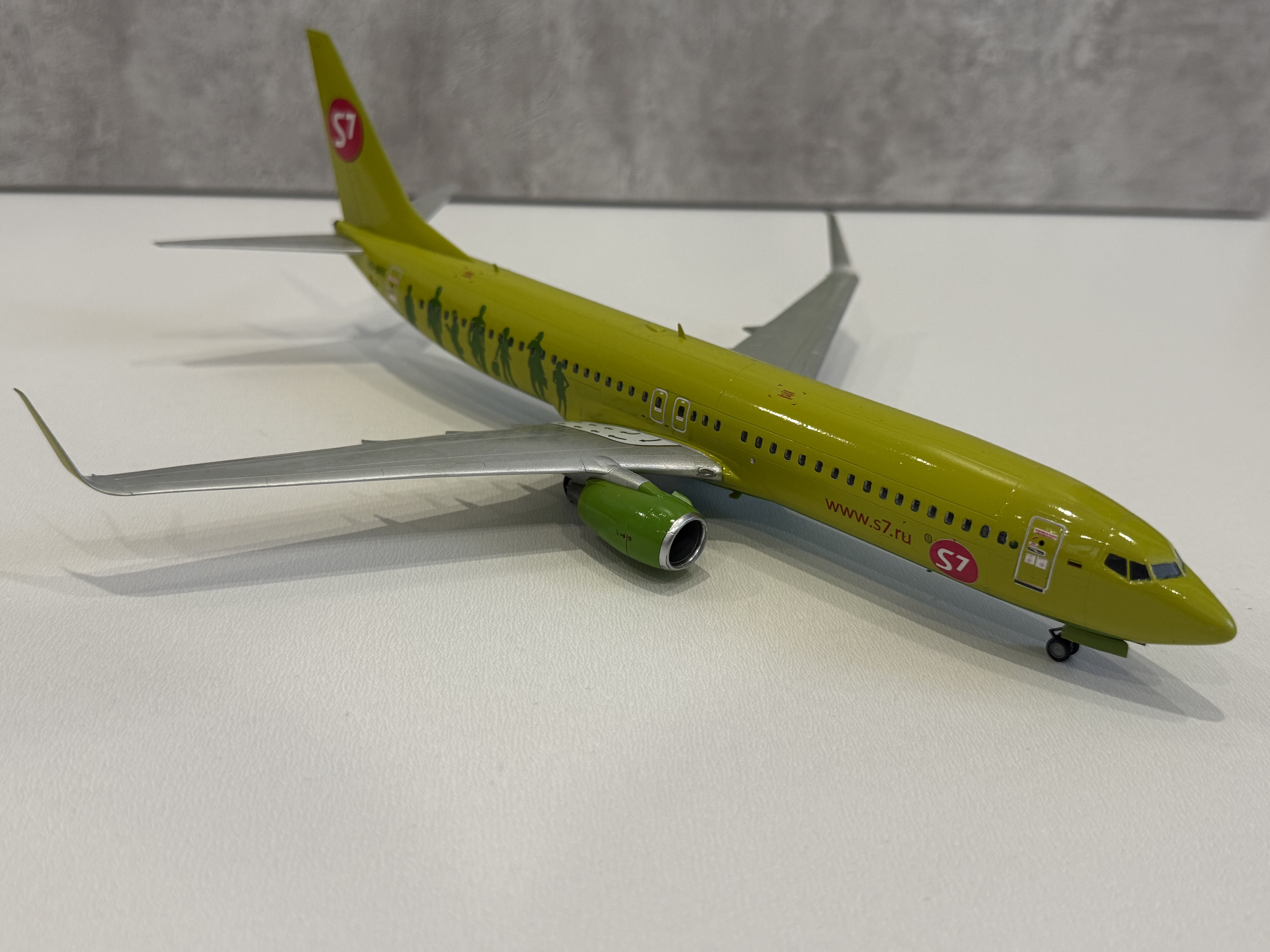 Боинг 737-800 S7