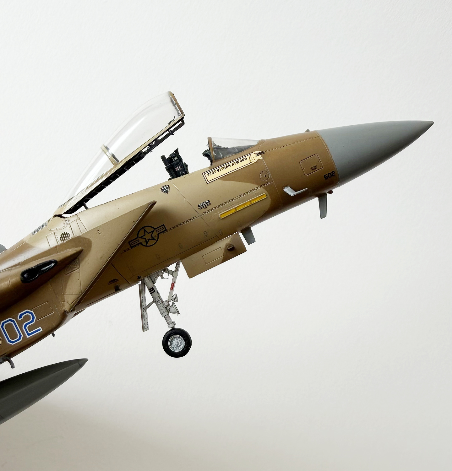 F-15C Aggressor squadron "Blue02"