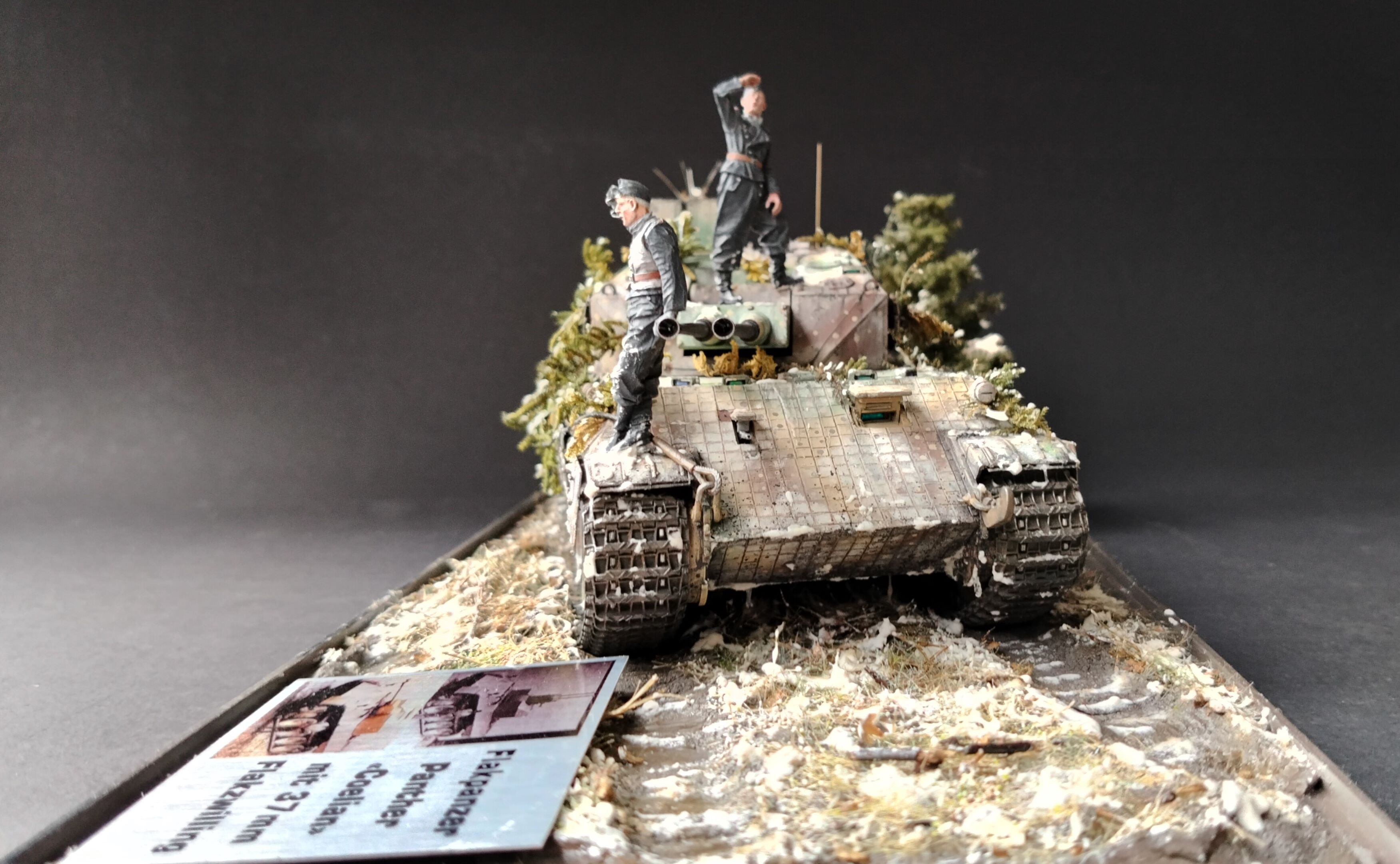 FLAKPANZER PANTHER  "COELIAN"