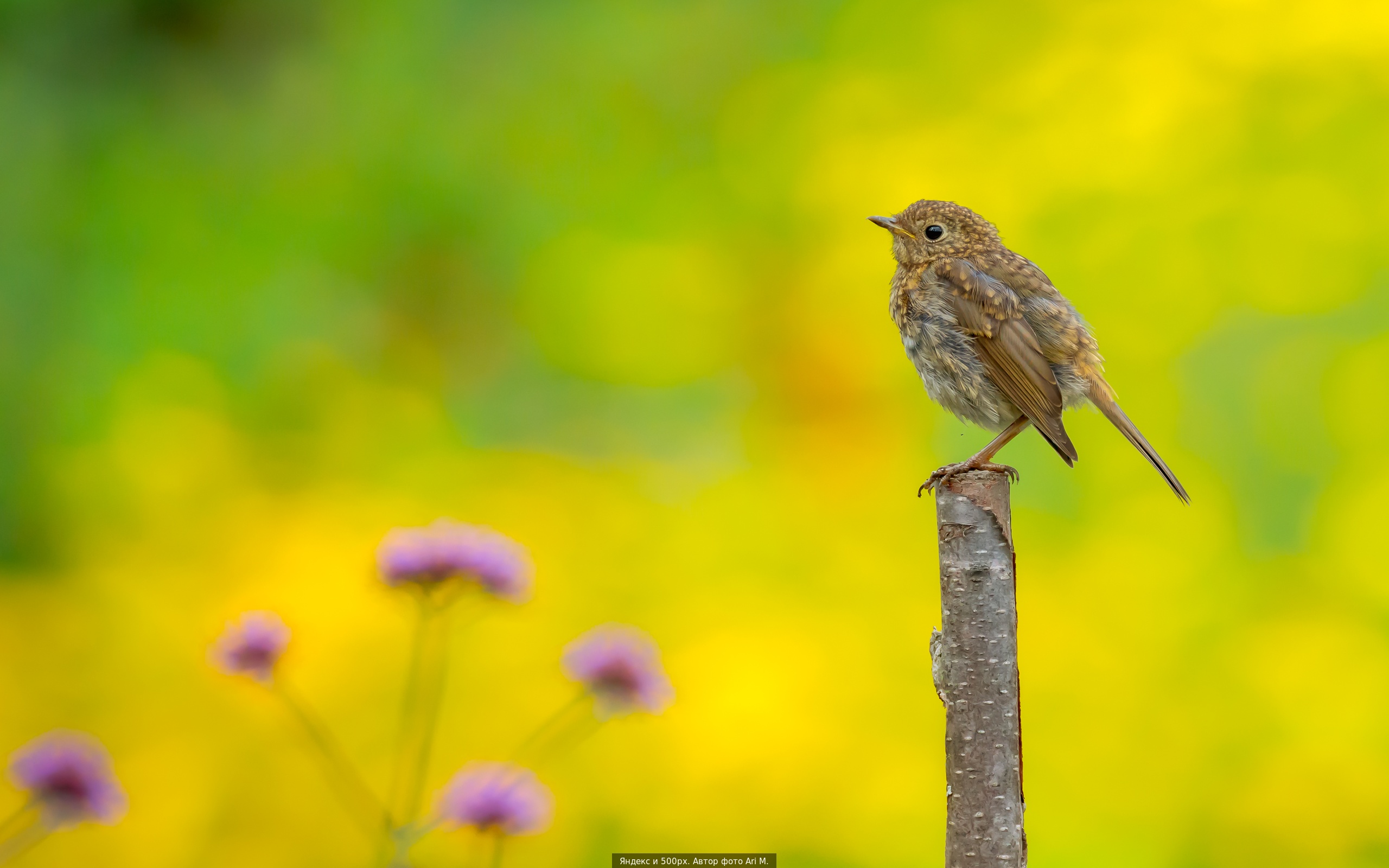 Моделька 1-2-3-4