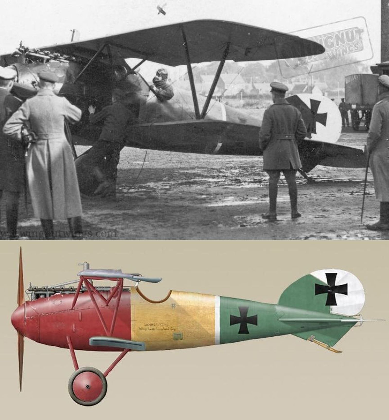 Albatros D.V (обр. 1917) (Manfred von Richthofen, Jasta 11, late 1917)