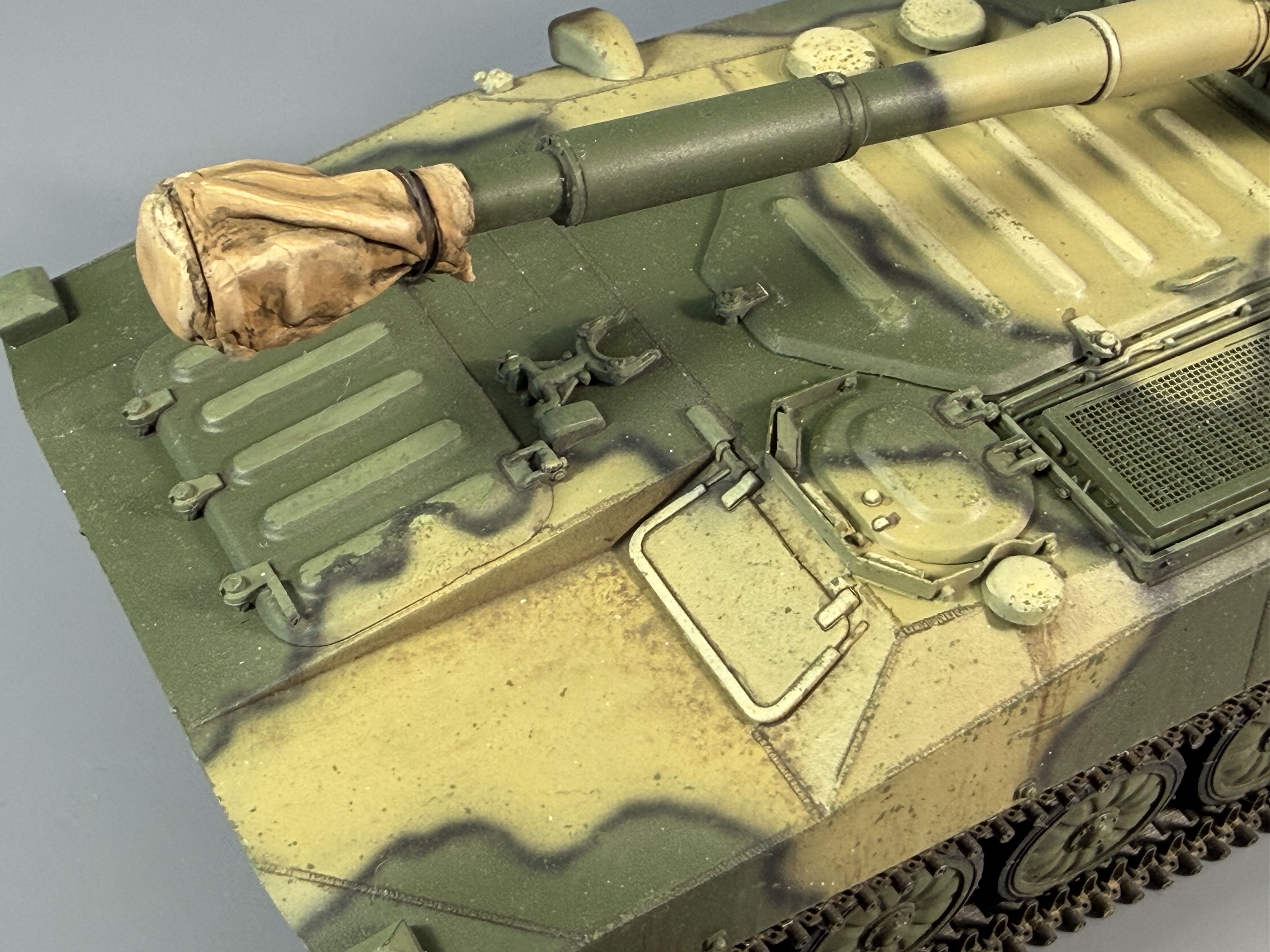 2С1 "Гвоздика"