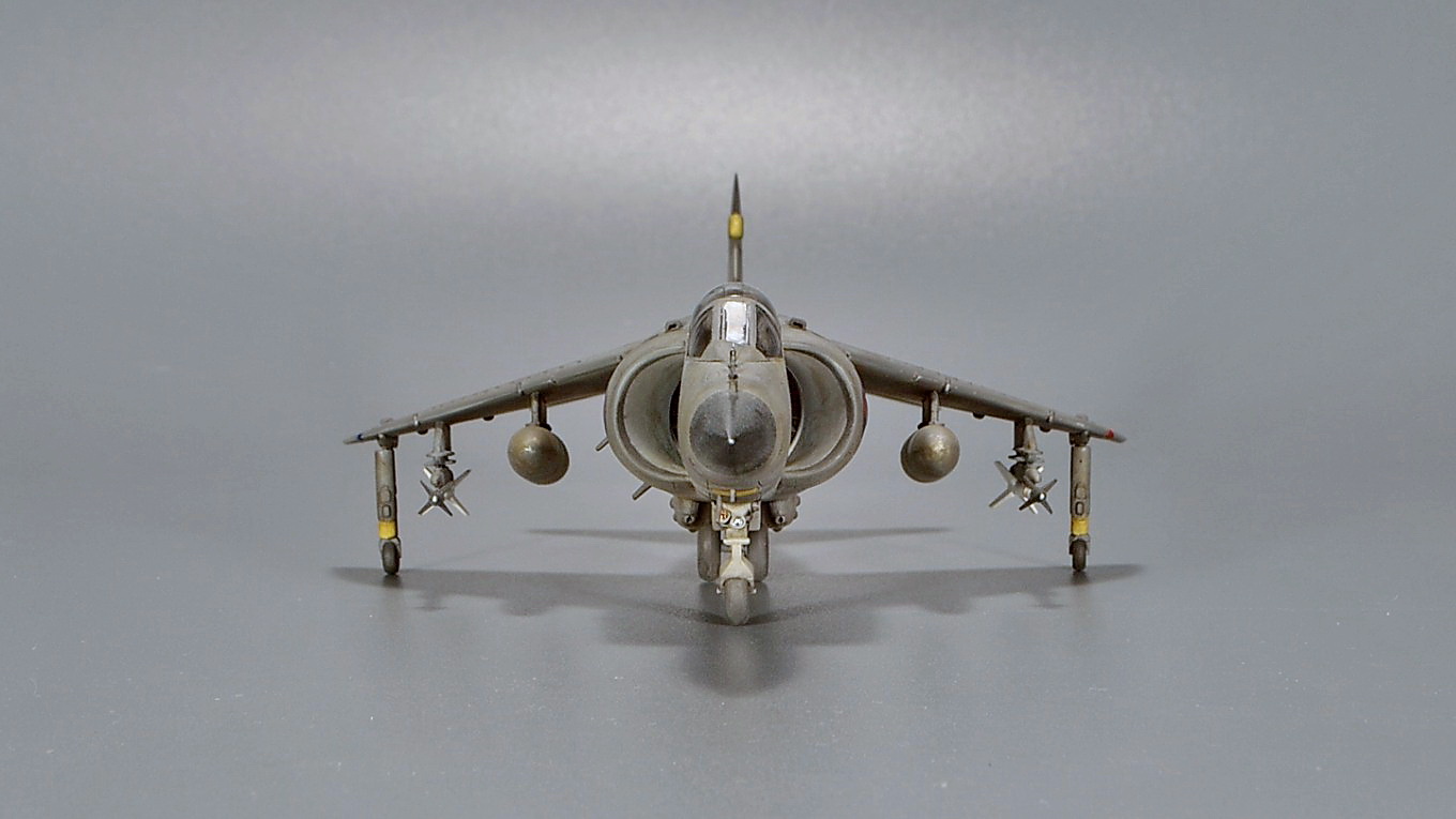 BAe Sea Harrier FRS Mk.1