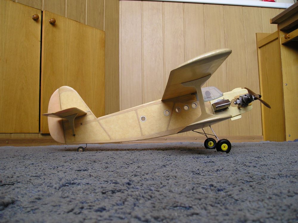AN 2 28.JPG