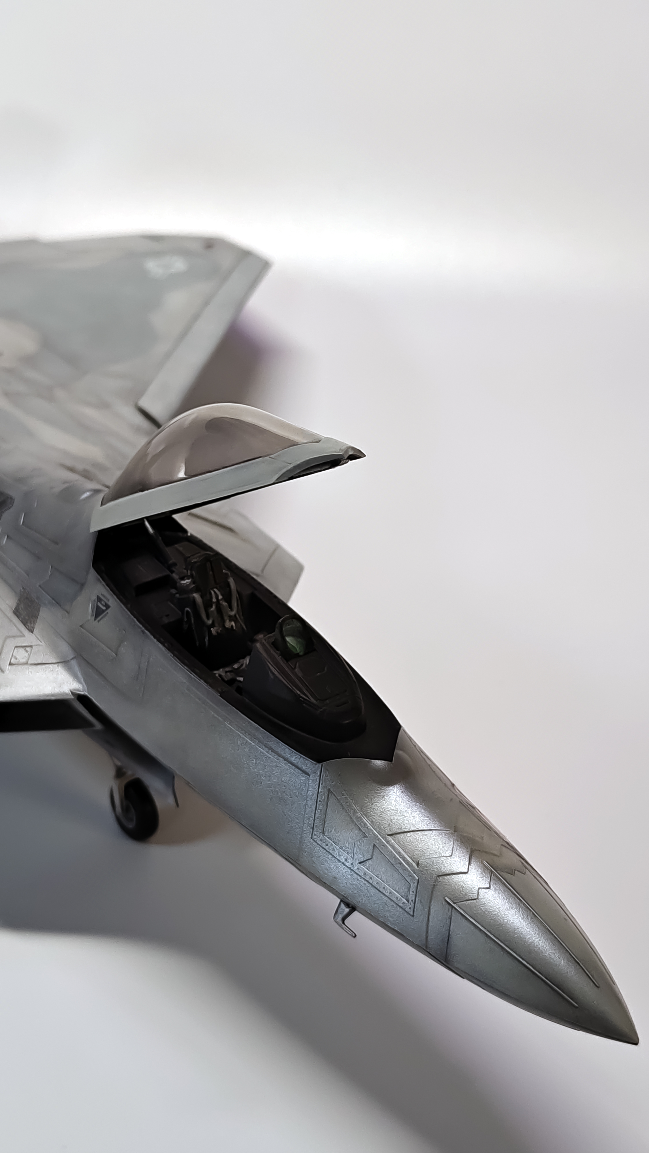 F-22a Raptor