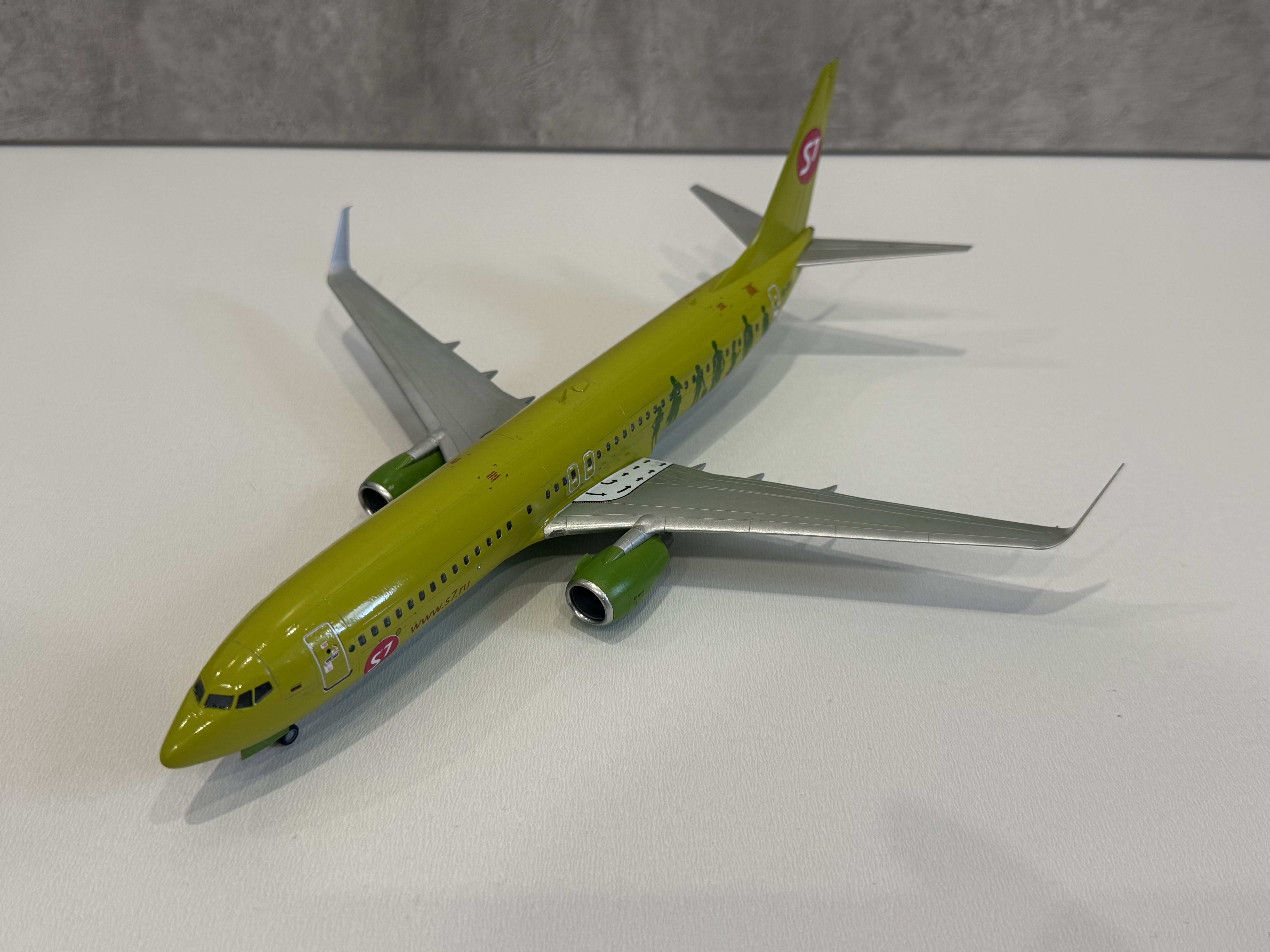 Боинг 737-800 S7