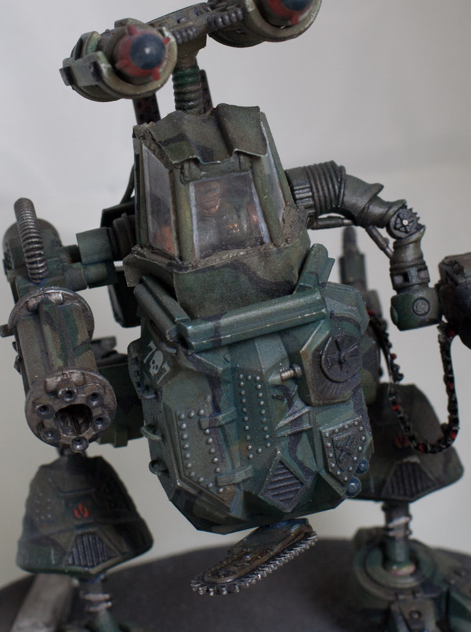 Wild Bear "Семерочка"