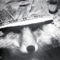 WeldFox