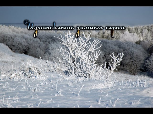 Создание зимнего куста